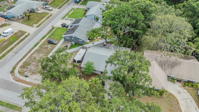 1041 Forest Grove Blvd, Palm Harbor, FL 34683 - aerial perspective of suburban area