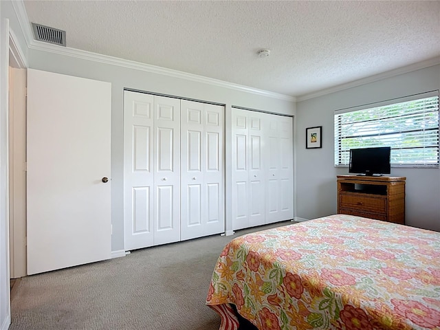 bedroom with crown molding, two closets, carpet, and a textured ceiling