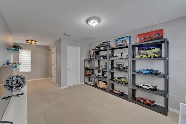 5914 Goldenbark Pl, Lithia, FL 33547 - view of storage