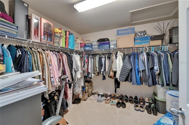 5914 Goldenbark Pl, Lithia, FL 33547 - view of walk in closet