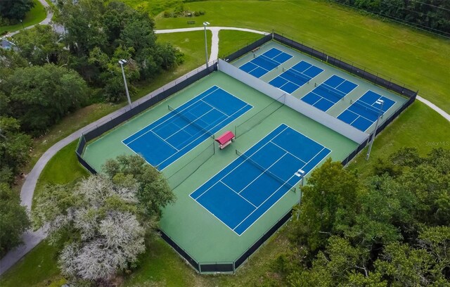 5914 Goldenbark Pl, Lithia, FL 33547 - bird's eye view