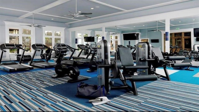 4329 Barletta Ct, Wesley Chapel, FL 33543 - exercise room featuring ceiling fan, carpet flooring, and recessed lighting