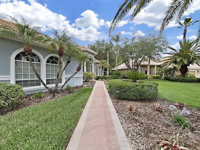 16343 Burniston Dr, Tampa, FL 33647 - view of green lawn