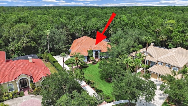 16343 Burniston Dr, Tampa, FL 33647 - view from above of property with a forest