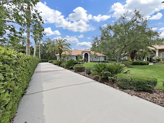 16343 Burniston Dr, Tampa, FL 33647 - view of home's community featuring a lawn