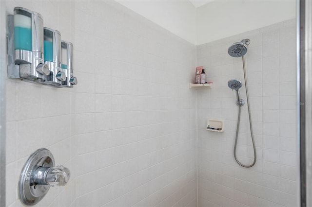 815 Sandy Trail Pl, Brandon, FL 33511 - bathroom view of tiled shower