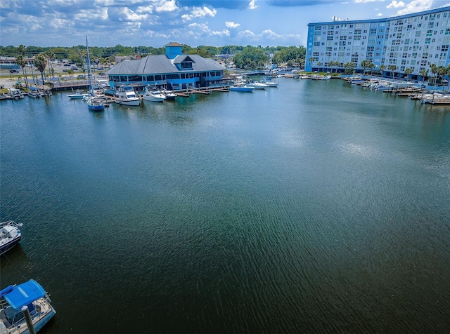 water view featuring a boat dock and numerous boat docks