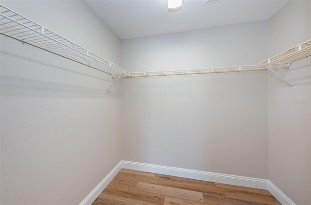 walk in closet featuring wood finished floors