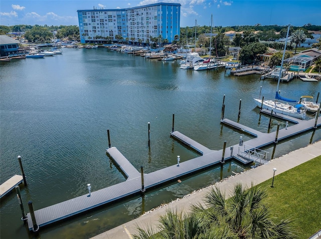 dock area with a water view