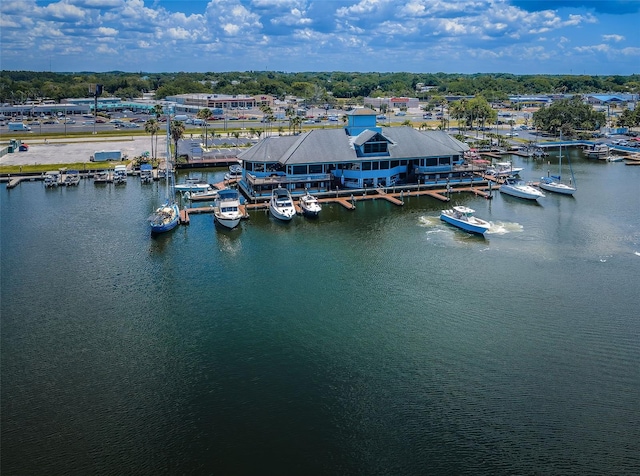 aerial view of a marina and a large body of water
