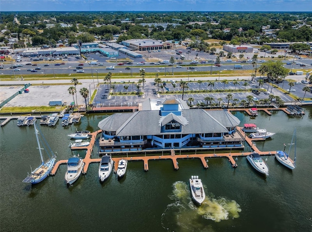 bird's eye view of a large body of water and a marina