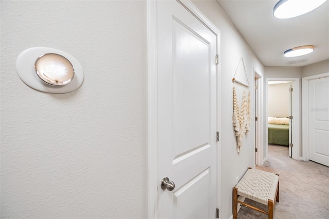1594 Cassius St, Lutz, FL 33549 - hall with carpet floors