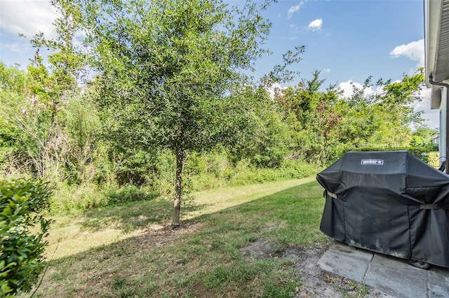 1594 Cassius St, Lutz, FL 33549 - view of green lawn