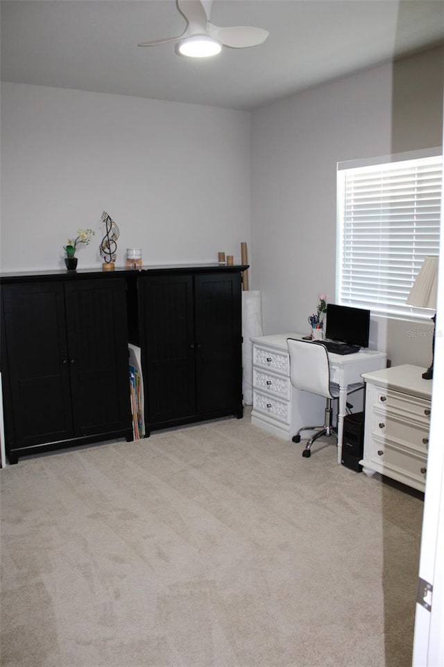 8009 Trimbelle Ter, Parrish, FL 34219 - office space with a ceiling fan and carpet floors