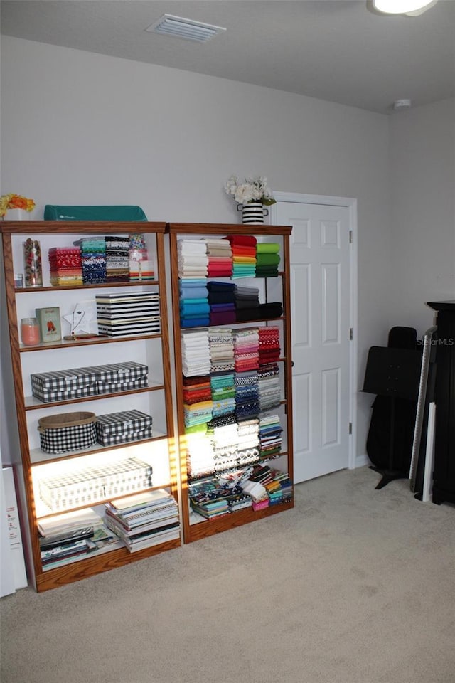 8009 Trimbelle Ter, Parrish, FL 34219 - view of storage area