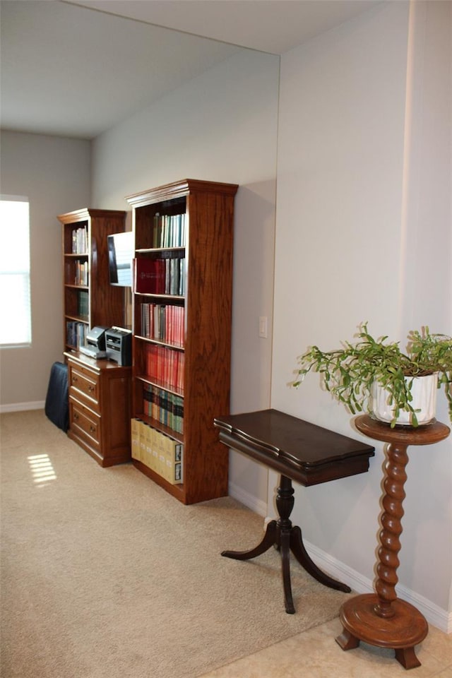 8009 Trimbelle Ter, Parrish, FL 34219 - office space featuring baseboards and light carpet