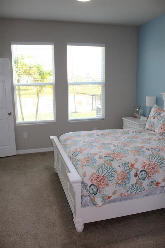 8009 Trimbelle Ter, Parrish, FL 34219 - carpeted bedroom featuring baseboards