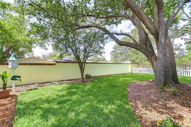 124 Barrington Dr, Brandon, FL 33511 - view of yard