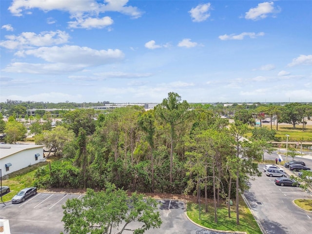 Ulmerton Rd, Largo, FL 33771 - photo 3