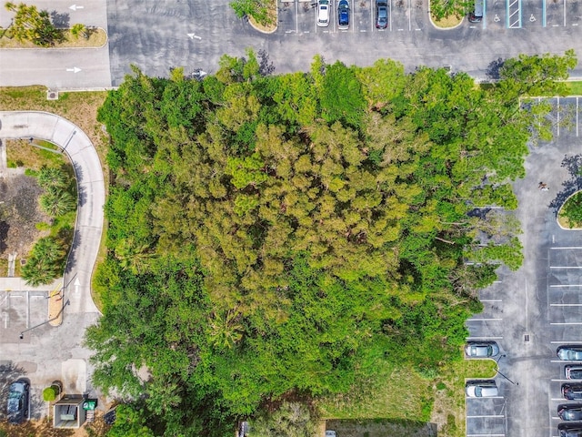 Ulmerton Rd, Largo, FL 33771 - photo 8