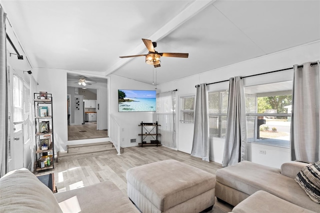 7201 5th Ave N, Saint Petersburg, FL 33710 - photo 6