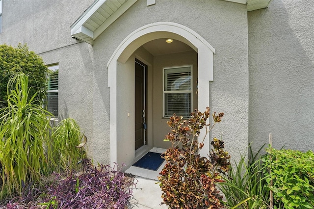513 Harbor Springs Dr, Palm Harbor, FL 34683 - photo 2