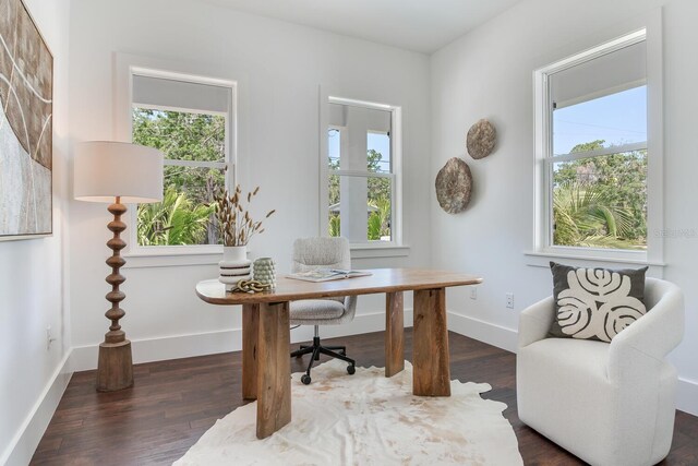 509 Buckingham Ave E, Oldsmar, FL 34677 - photo 4