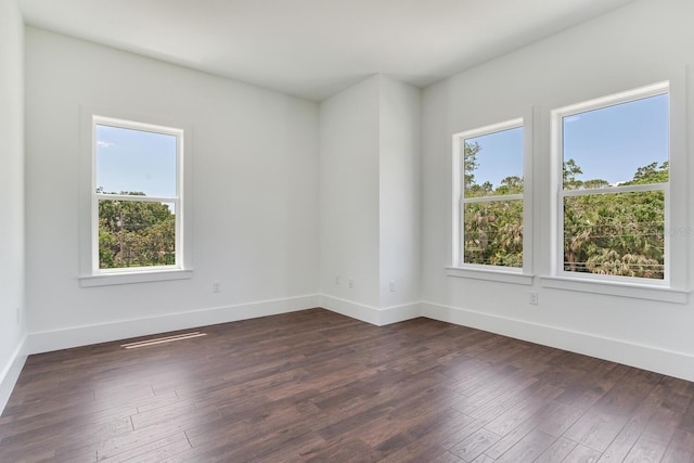 509 Buckingham Ave E, Oldsmar, FL 34677 - photo 40