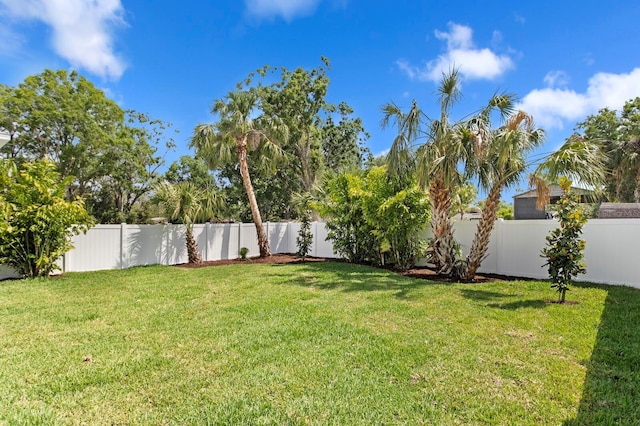 509 Buckingham Ave E, Oldsmar, FL 34677 - photo 46