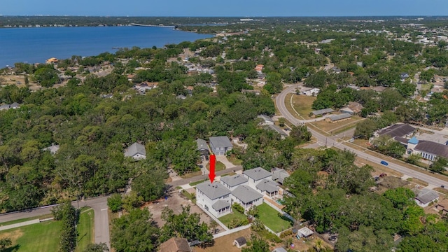509 Buckingham Ave E, Oldsmar, FL 34677 - photo 48