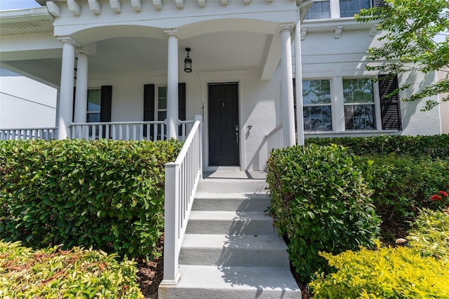 14563 Bahama Swallow Blvd, Winter Garden, FL 34787 - photo 2