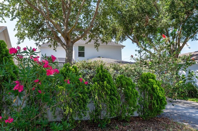 14563 Bahama Swallow Blvd, Winter Garden, FL 34787 - photo 48
