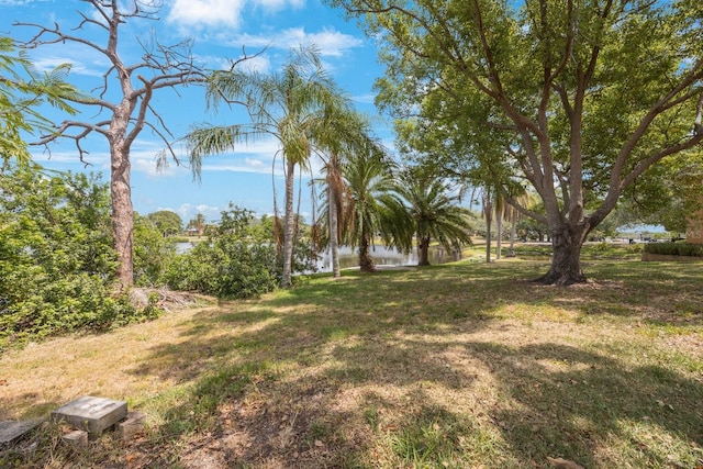 0 Jade Ln, Tarpon Springs, FL 34689