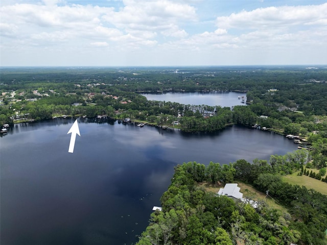 7216 N Mobley Rd, Odessa, FL 33556 - aerial view of property and surrounding area featuring a forest and a large body of water