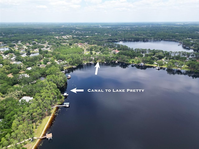 7216 N Mobley Rd, Odessa, FL 33556 - bird's eye view of a forest and a nearby body of water