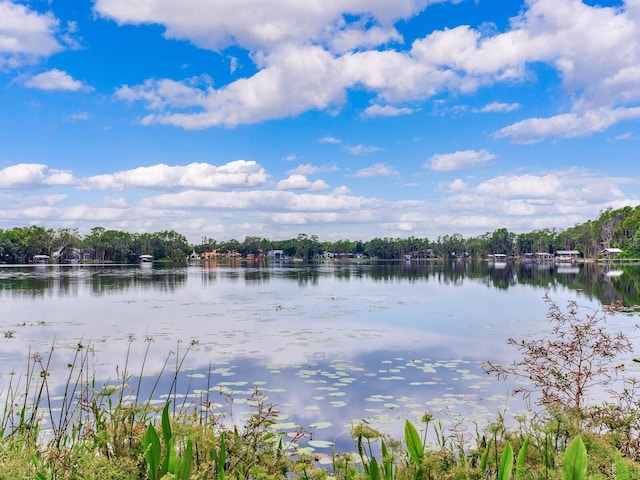 7216 N Mobley Rd, Odessa, FL 33556 - water view