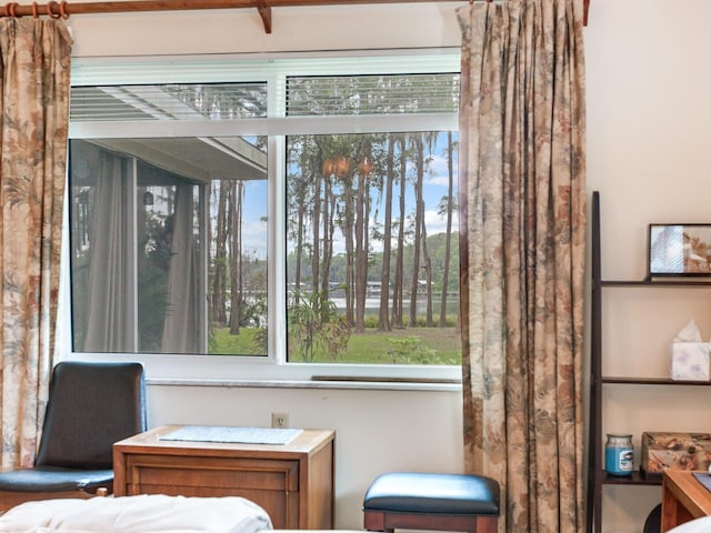 7216 N Mobley Rd, Odessa, FL 33556 - view of bedroom