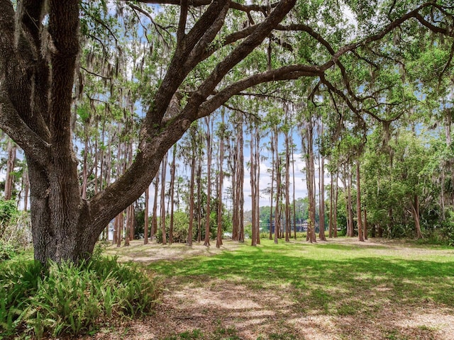 7216 N Mobley Rd, Odessa, FL 33556 - view of grassy yard