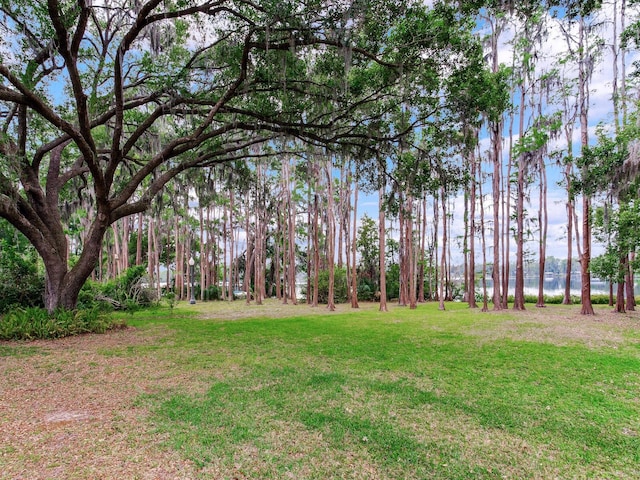 7216 N Mobley Rd, Odessa, FL 33556 - view of grassy yard with a water view