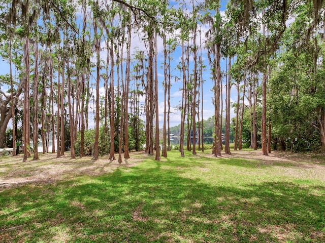 7216 N Mobley Rd, Odessa, FL 33556 - view of grassy yard