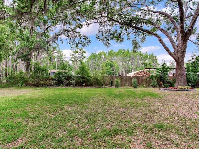 7216 N Mobley Rd, Odessa, FL 33556 - view of yard