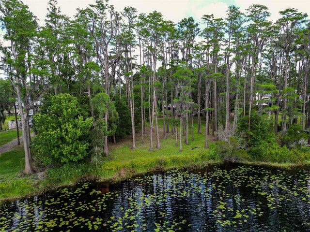 7216 N Mobley Rd, Odessa, FL 33556 - view of undeveloped land featuring a large body of water