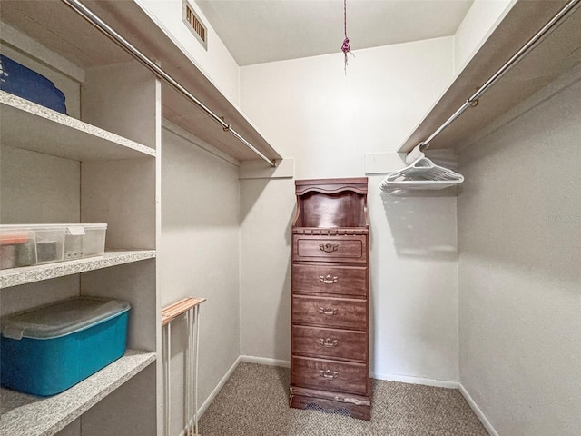 walk in closet with carpet floors