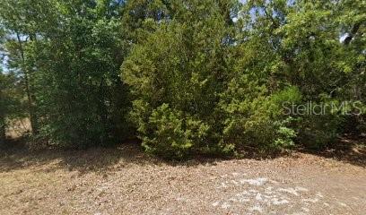 2672 S Willow Ter, Homosassa, FL 34448