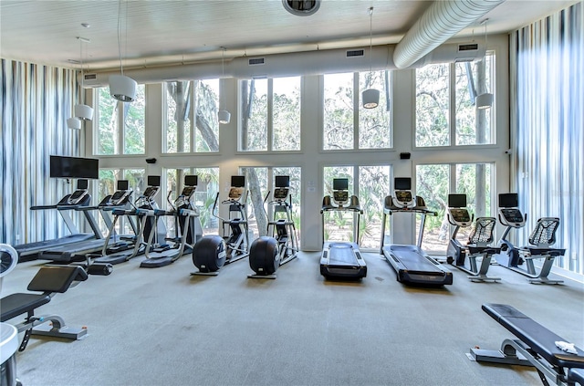 gym with healthy amount of natural light, a towering ceiling, and carpet flooring