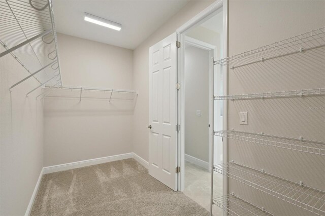 walk in closet featuring carpet