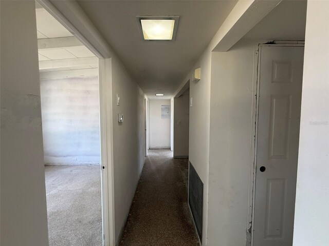 3000 58th Ave S, Saint Petersburg, FL 33712 - photo 28