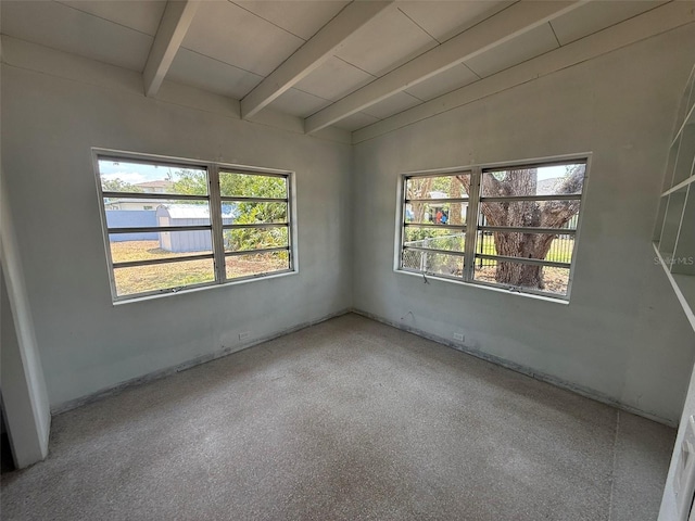 3000 58th Ave S, Saint Petersburg, FL 33712 - photo 39