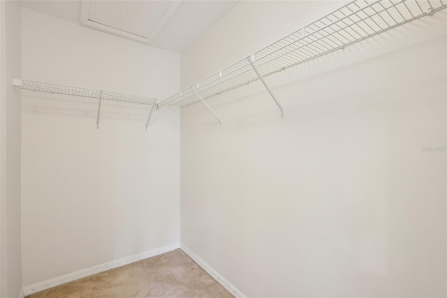 4224 Fleewell Ct, Valrico, FL 33596