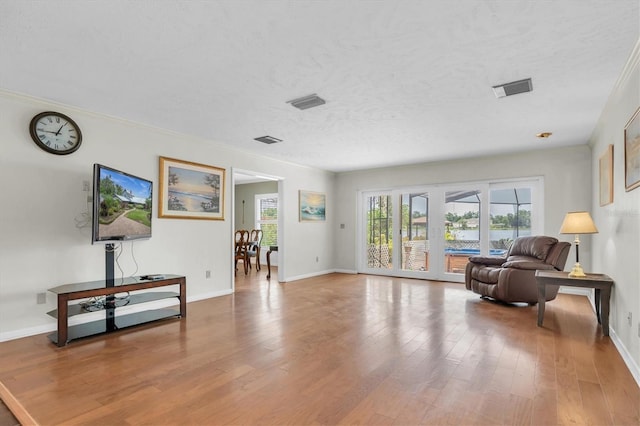 13533 Bay Lake Ln, Tampa, FL 33618 - living area featuring wood finished floors, baseboards, and a textured ceiling